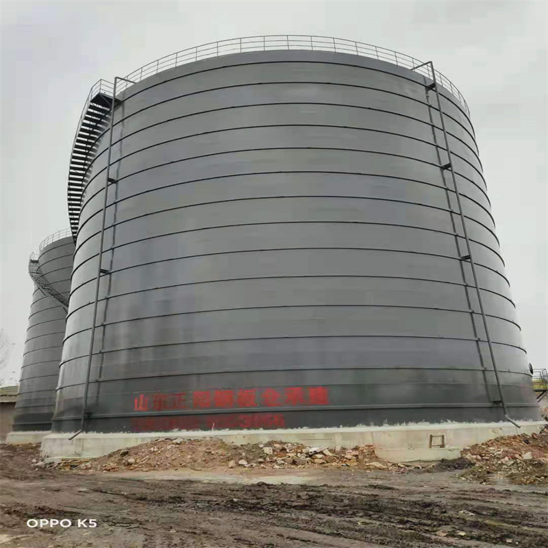 竞秀3万吨大型钢板库