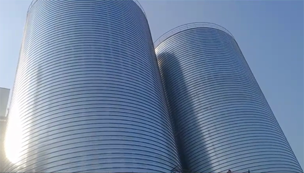 竞秀2座混凝土高架卷板仓